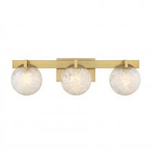 Savoy House Canada 8-1017-3-322 - Darien 3-Light Bathroom Vanity Light in Warm Brass