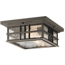  49834OZ - Outdoor Ceiling 2Lt